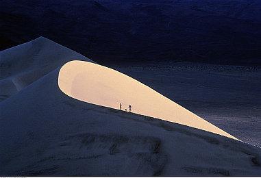 SEGA公布《森巴德明哥：派对中心》更新路线图